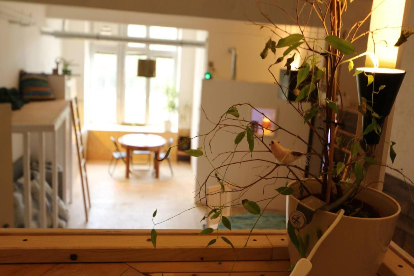 Einzigartiges 140Qm Loft - Party Ist Erlaubt! Apartment เบอร์ลิน ภายนอก รูปภาพ